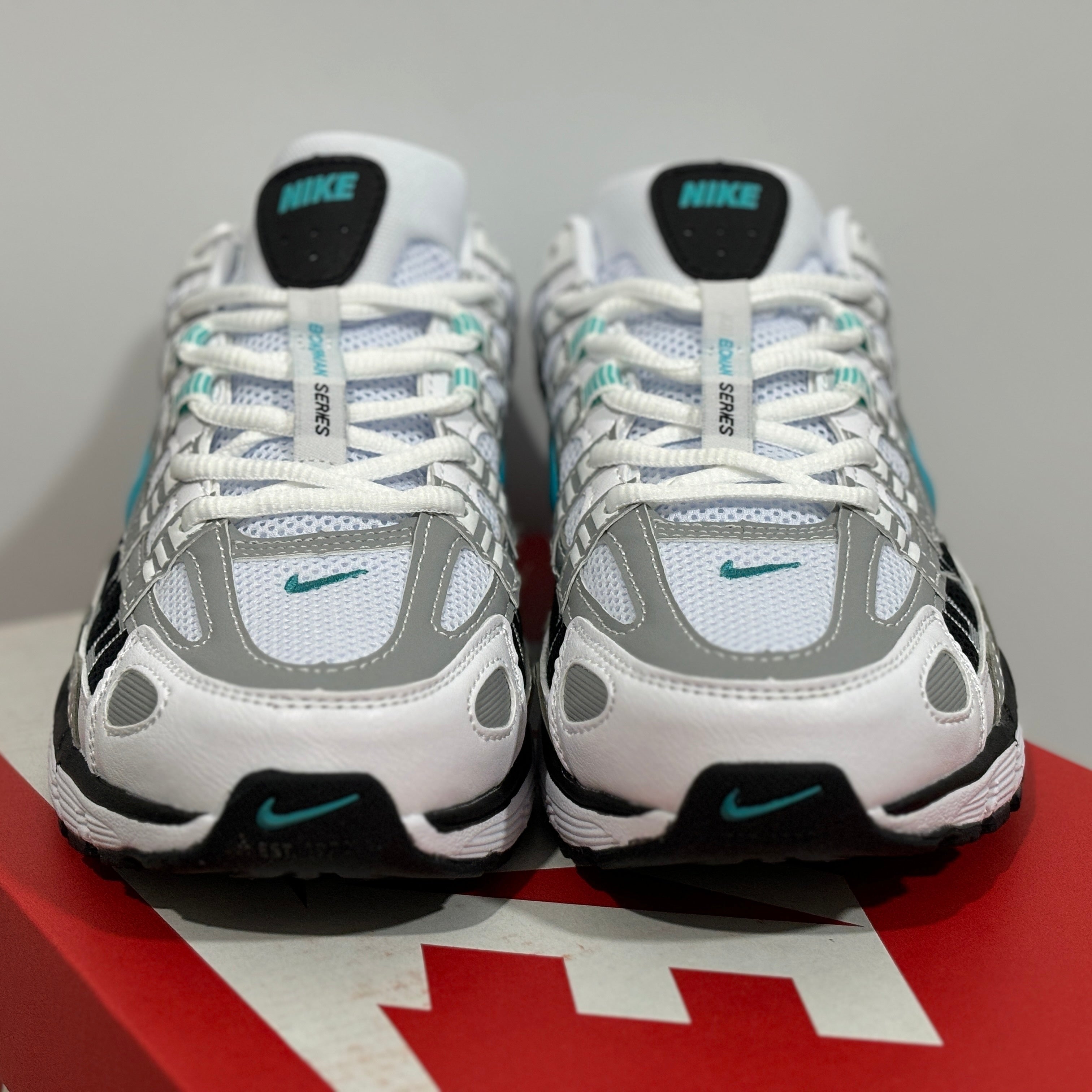 NIKE P-6000 "DUSTY CACTUS"