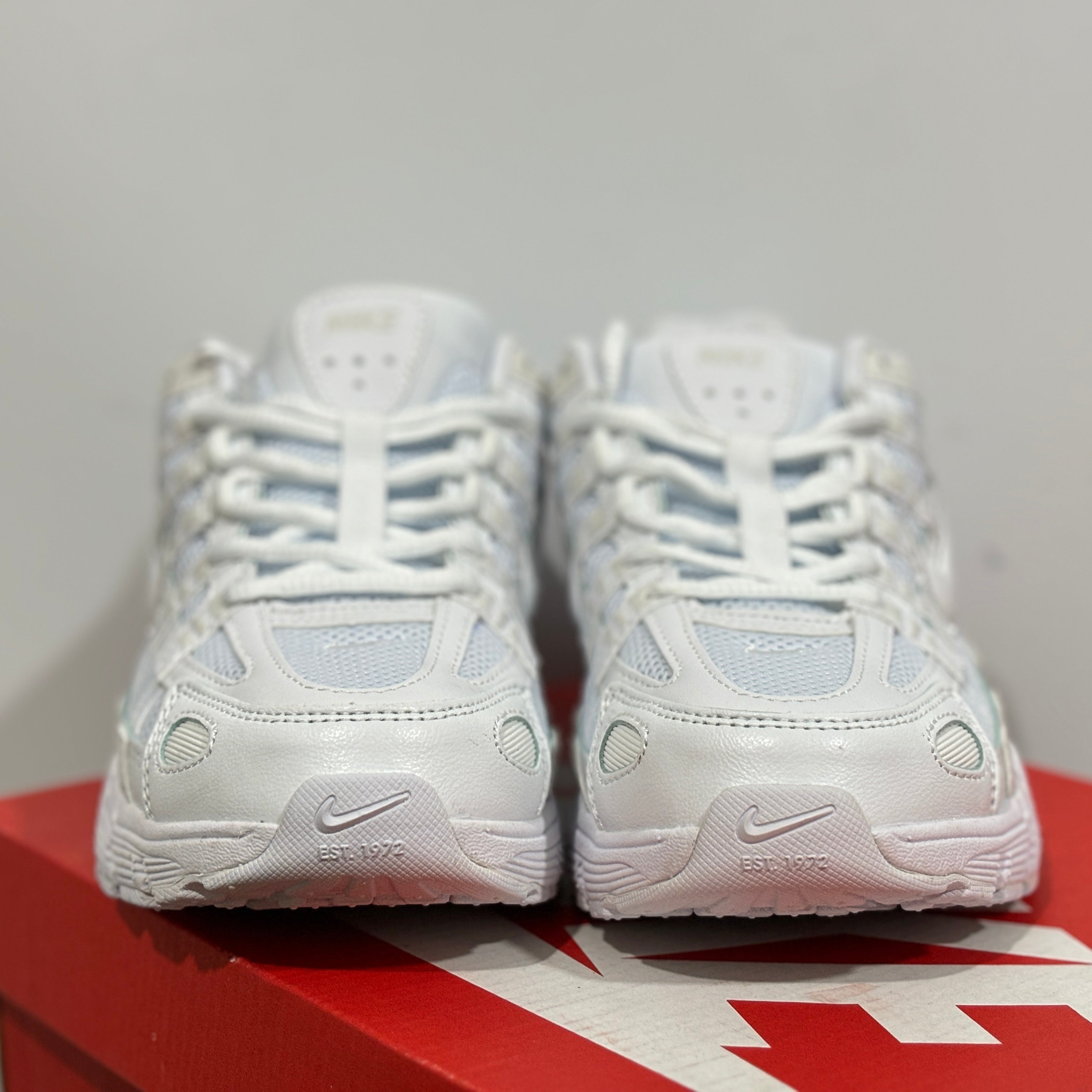 NIKE P-6000 "SUMMIT WHITE"